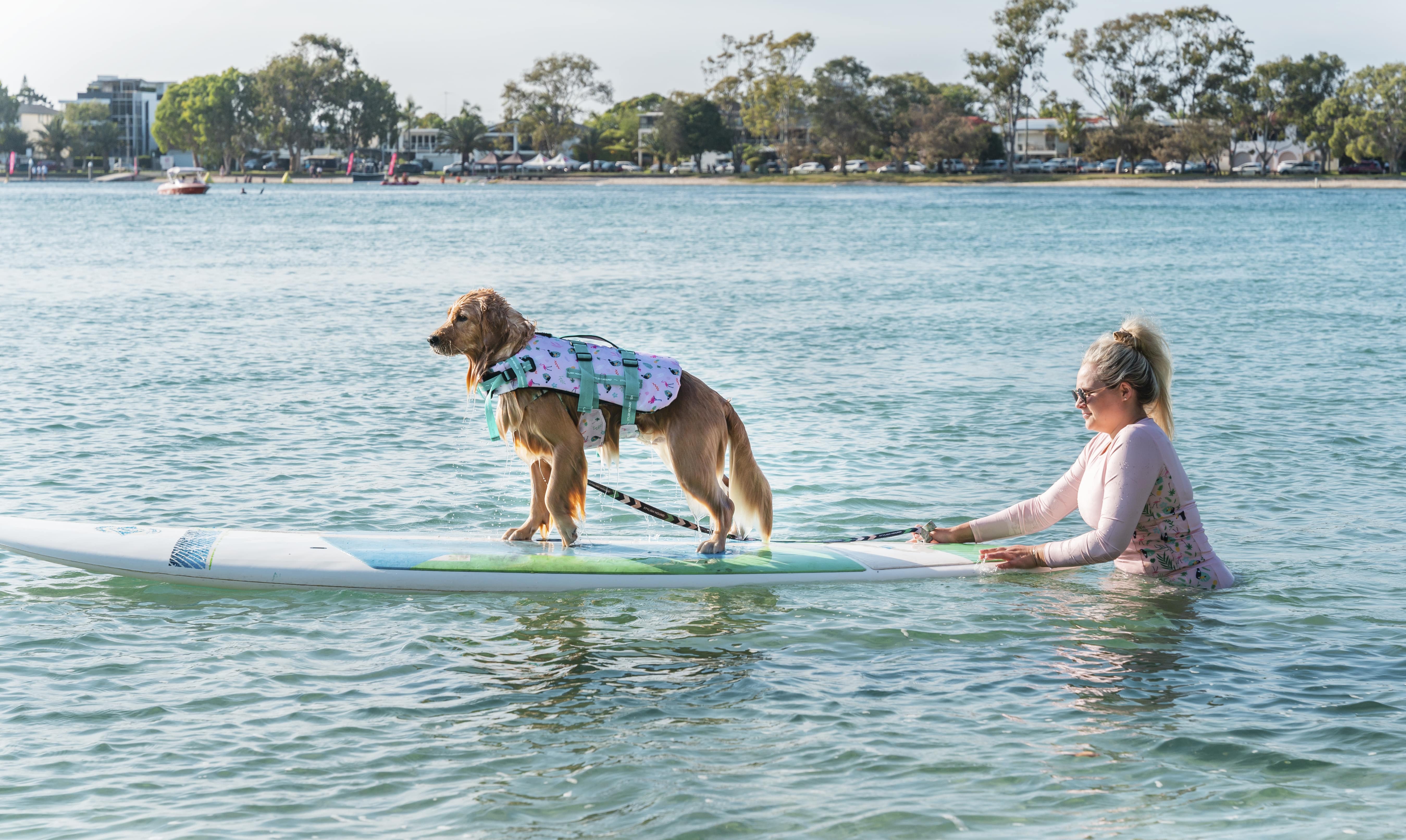 Perth’s Best Dog Beaches Perth Underground